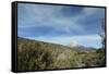 Arid Altiplano landscape, Sajama National Park, Bolivia-Anthony Asael-Framed Stretched Canvas