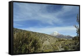 Arid Altiplano landscape, Sajama National Park, Bolivia-Anthony Asael-Framed Stretched Canvas