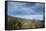 Arid Altiplano landscape, Sajama National Park, Bolivia-Anthony Asael-Framed Stretched Canvas