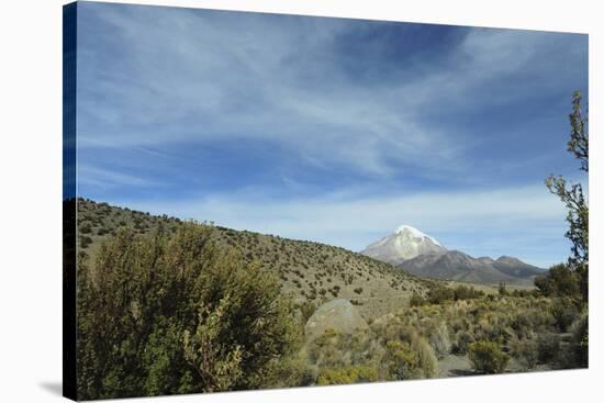 Arid Altiplano landscape, Sajama National Park, Bolivia-Anthony Asael-Stretched Canvas