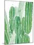 Arid - Organ Pipe-Kristine Hegre-Mounted Giclee Print