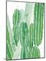 Arid - Organ Pipe-Kristine Hegre-Mounted Giclee Print