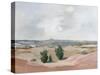 Arid-Pamela Munger-Stretched Canvas