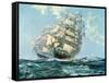 Ariel and Taeping-Montague Dawson-Framed Stretched Canvas