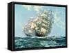 Ariel and Taeping-Montague Dawson-Framed Stretched Canvas
