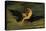 Ariel - "On the Bat's Wing Do I Fly.", C. 1826-Joseph Severn-Stretched Canvas