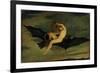 Ariel - "On the Bat's Wing Do I Fly.", C. 1826-Joseph Severn-Framed Giclee Print