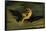 Ariel - "On the Bat's Wing Do I Fly.", C. 1826-Joseph Severn-Framed Stretched Canvas