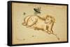 Aries Constellation, Zodiac Sign, 1825-Science Source-Framed Stretched Canvas