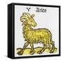 Aries the Ram, 1489-null-Framed Stretched Canvas