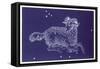 Aries-Roberta Norton-Framed Stretched Canvas