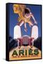 Aries-null-Framed Stretched Canvas