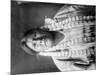 Arikara Woman Indian Native American Curtis Photograph-Lantern Press-Mounted Art Print