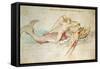 Arion, 1514 (W/C on Paper)-Albrecht Dürer-Framed Stretched Canvas