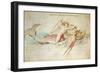 Arion, 1514 (W/C on Paper)-Albrecht Dürer-Framed Giclee Print