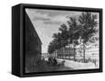Canvas Black