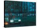 Stretched Canvas