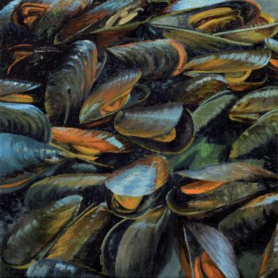 Mussels, 2014