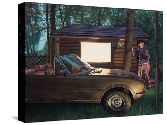 Stretched Canvas Print, , large