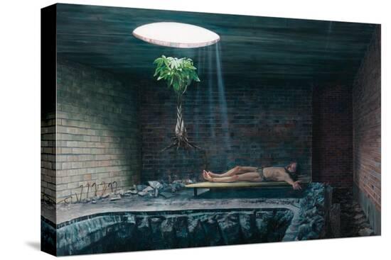 Stretched Canvas Print, , large