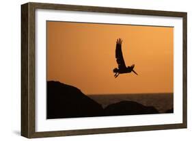 Arise at Dawn-Susann Parker-Framed Photographic Print