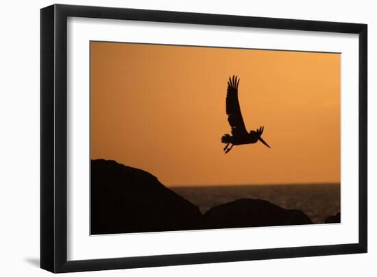 Arise at Dawn-Susann Parker-Framed Photographic Print