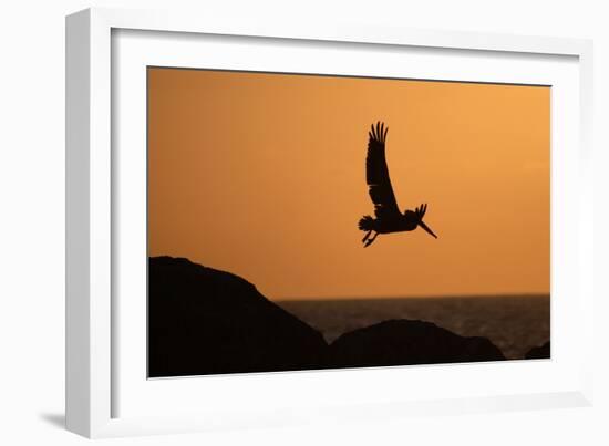 Arise at Dawn-Susann Parker-Framed Photographic Print