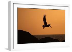 Arise at Dawn-Susann Parker-Framed Photographic Print