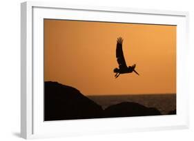 Arise at Dawn-Susann Parker-Framed Photographic Print