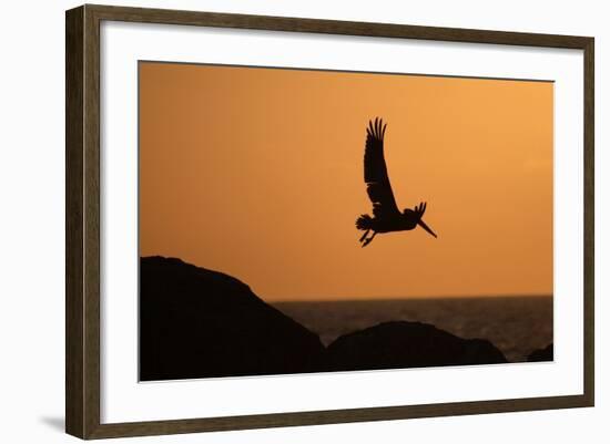 Arise at Dawn-Susann Parker-Framed Photographic Print