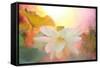 Arise-Bahman Farzad-Framed Stretched Canvas