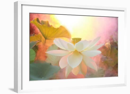 Arise-Bahman Farzad-Framed Photographic Print