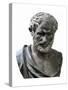 Aristotle (384-332 BC)-null-Stretched Canvas