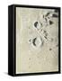 Aristotle and Eudoxus (B/W Chalk on Grey Paper)-James Nasmyth-Framed Stretched Canvas