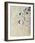 Aristotle and Eudoxus (B/W Chalk on Grey Paper)-James Nasmyth-Framed Giclee Print