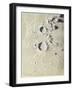 Aristotle and Eudoxus (B/W Chalk on Grey Paper)-James Nasmyth-Framed Giclee Print