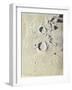 Aristotle and Eudoxus (B/W Chalk on Grey Paper)-James Nasmyth-Framed Giclee Print