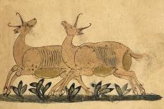 Deer-type, Rabbit and Fox, Standing Over Water-Aristotle ibn Bakhtishu-Giclee Print