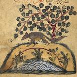 A Camel Passing a Tree-Aristotle ibn Bakhtishu-Giclee Print