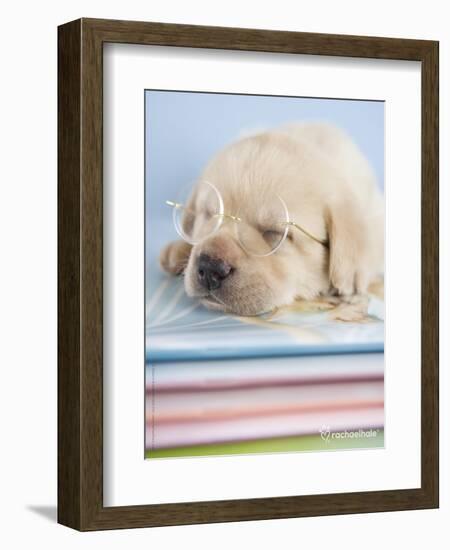 Aristotle-Rachael Hale-Framed Art Print