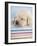 Aristotle-Rachael Hale-Framed Photographic Print