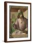 Brown Frame