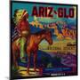 Ariz-Glo Orange Label - Mesa, AZ-Lantern Press-Mounted Art Print