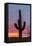 arizona-12-Jeff Poe-Framed Stretched Canvas