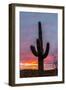 arizona-12-Jeff Poe-Framed Photo