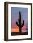 arizona-12-Jeff Poe-Framed Photo