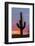 arizona-12-Jeff Poe-Framed Photo