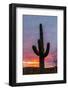 arizona-12-Jeff Poe-Framed Photo