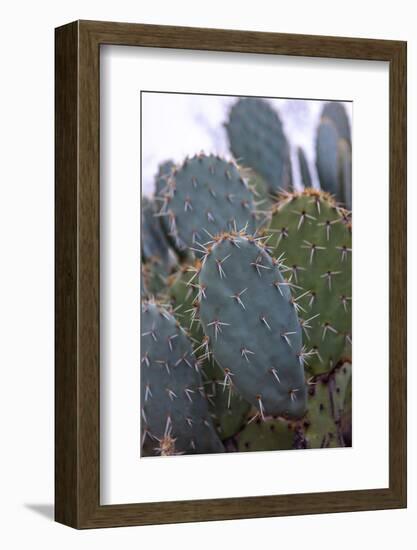 arizona-7-Jeff Poe-Framed Photo