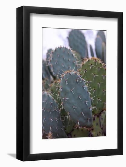 arizona-7-Jeff Poe-Framed Photo